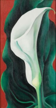 georgia o'keeffe, single lily with red, 1928