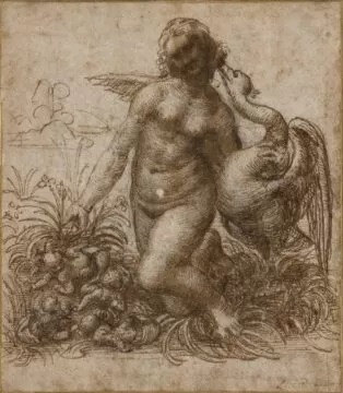 study for the kneeling leda da vinci c.1500