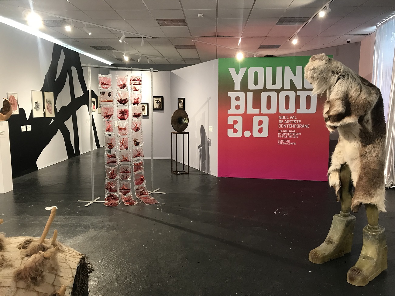 young blood 3, curatorial.ro