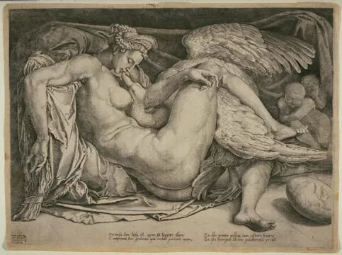 cornelis bos, after 1537