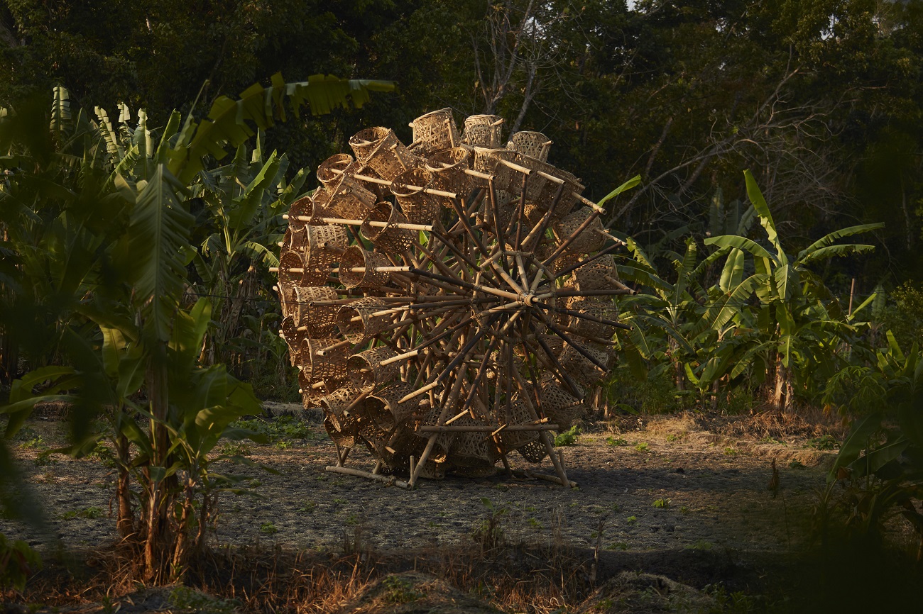 the rice harvester, dan vezentan