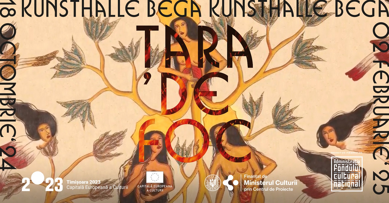 kunsthalle tara de foc