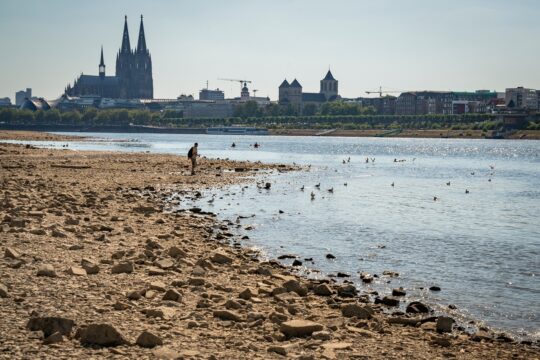 rhine,river,,cologne,,germany,10.08.2022:,dried,up,riverbanks,with,the