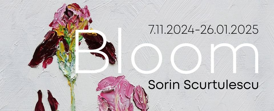 sorin scurtulescu, bloom, meta spatiu