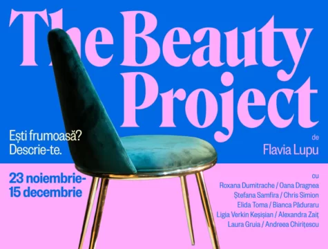 the beauty project, flavia lupu, art safari