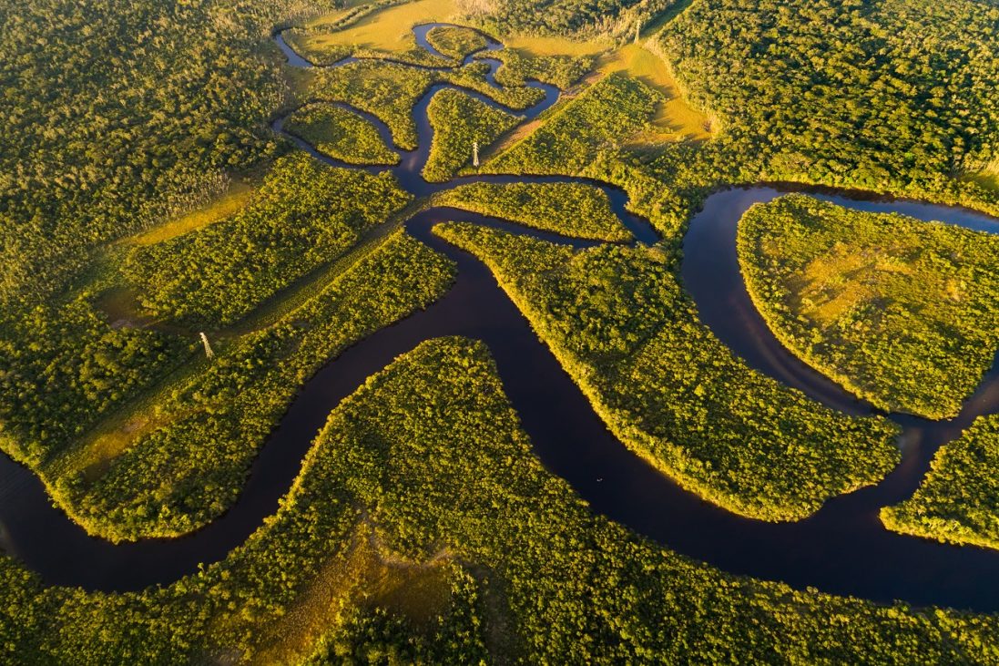 amazon,rainforest,in,brazil