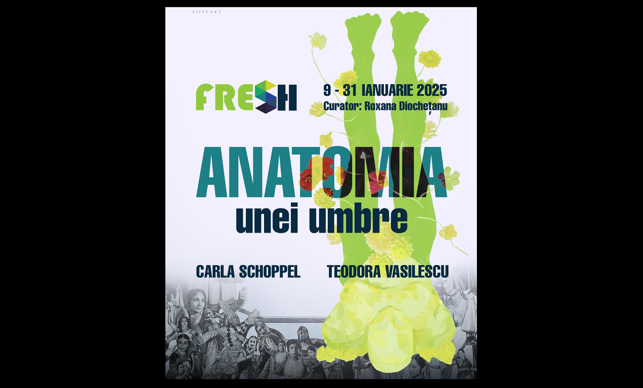 anatomia unei umbre, expo elite art gallery