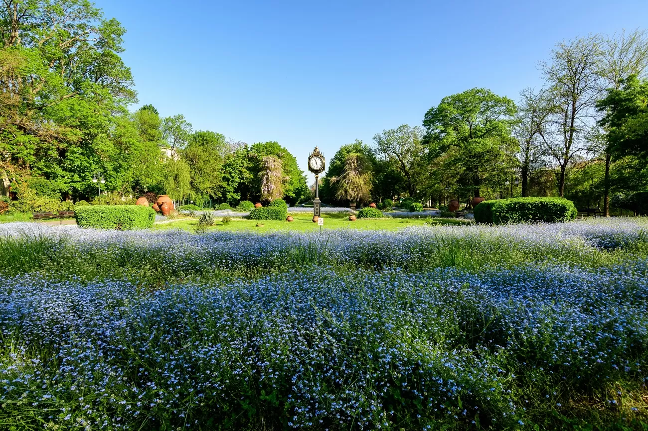 landscape,with,green,trees,,leaves,,vintage,clock,and,many,small