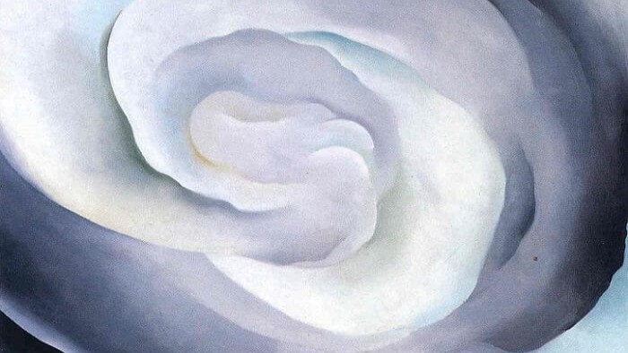 georgia o'keeffe, trandafir alb abstract, 19271