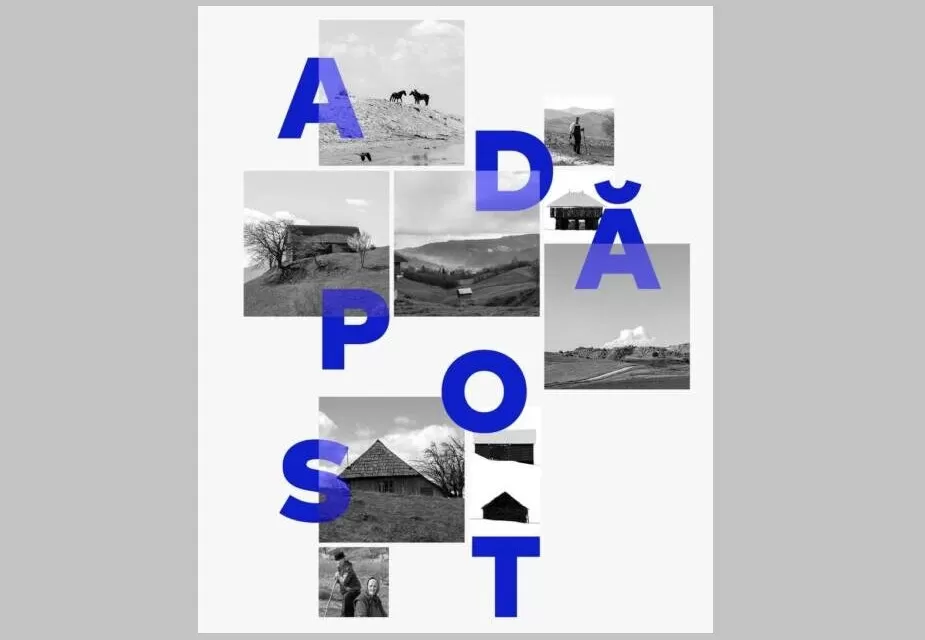 adapost, expo