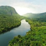 beautiful,natural,scenery,of,river,in,southeast,asia,tropical,green