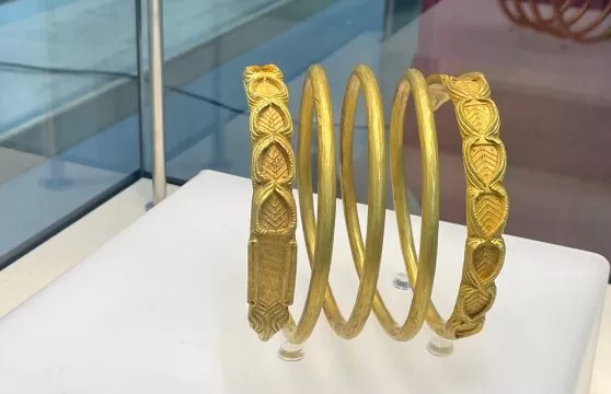 1 bratara dacica 14, mnir, curatorial