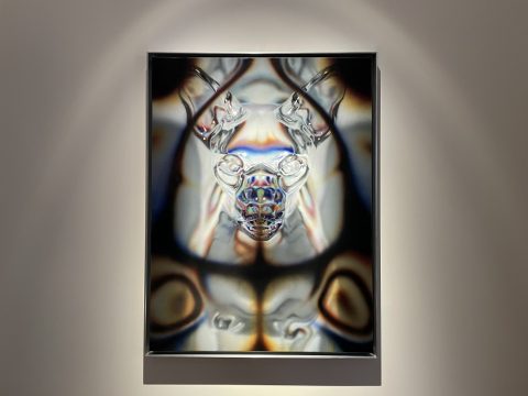 floare privind pisica, radu pandele 2025, curatorial
