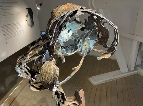 florin zhu, muguri noi detaliu, curatorial