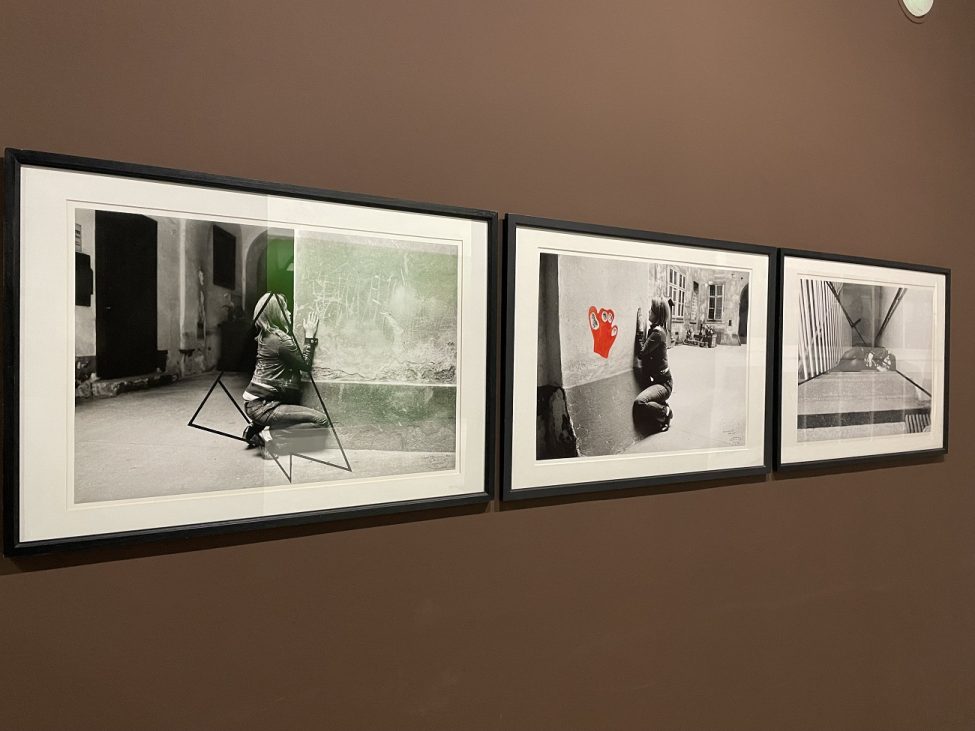 valie export, curatorial