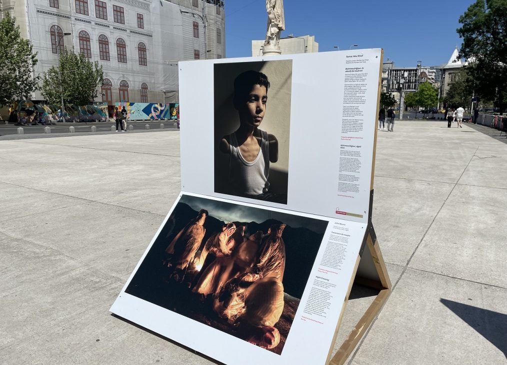world press photo 2025, curatorial