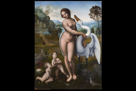 leda si lebada, dupa leonardo