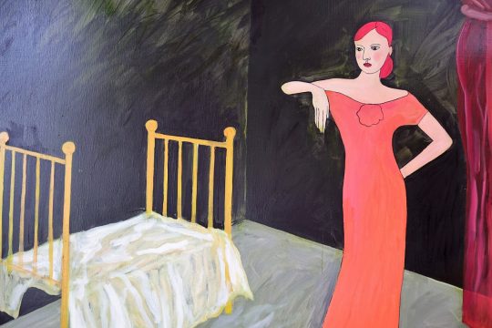 mircea bochis, muzeul de arta cluj napoca