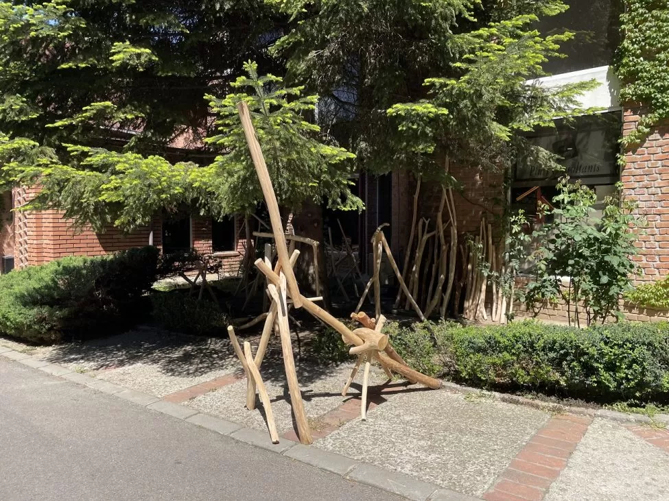 sergiu chihaia, rad sculpture park, curatorial 01