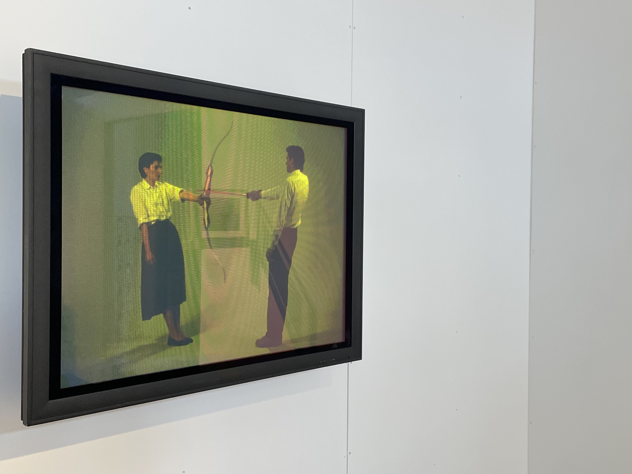 abramovic, bienala art encounters 2025, curatorial