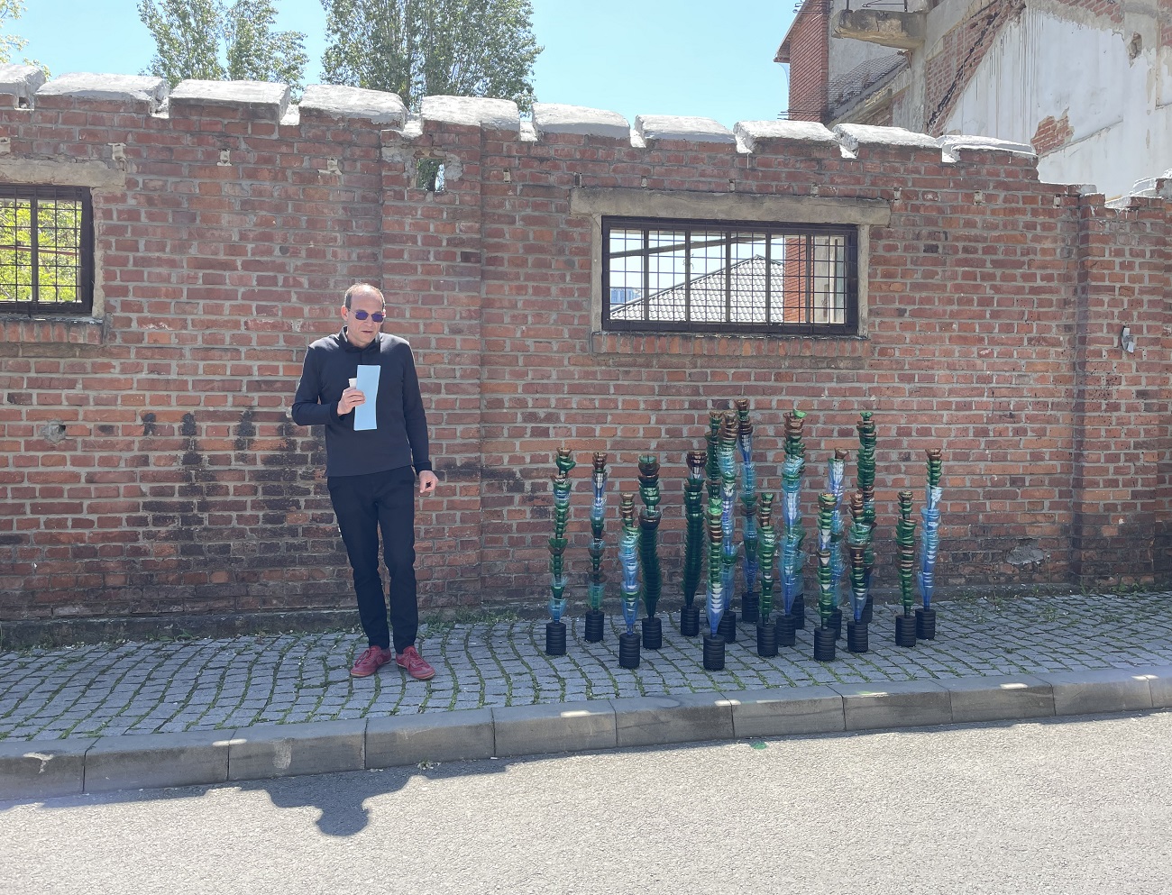 alex radu, „cactusi” de sergiu chihaia, curatorial