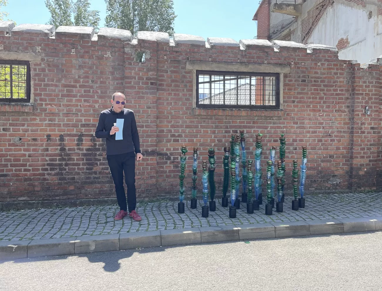 alex radu, „cactusi” de sergiu chihaia, curatorial