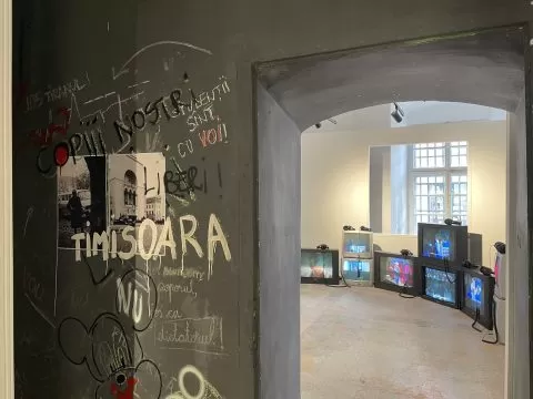 bienala art encounters 2025, curatorial