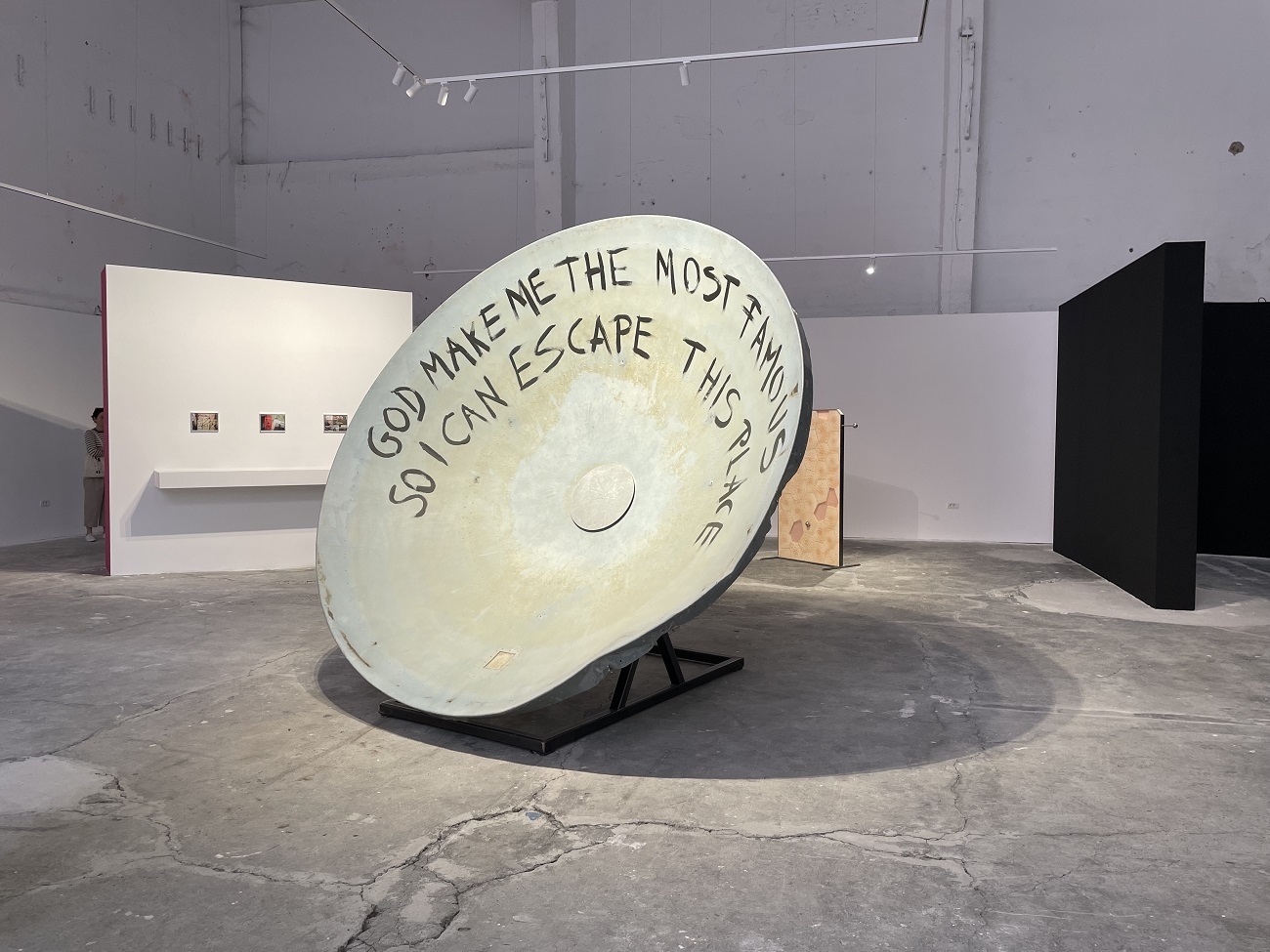 bienala art encounters, faber, curatorial