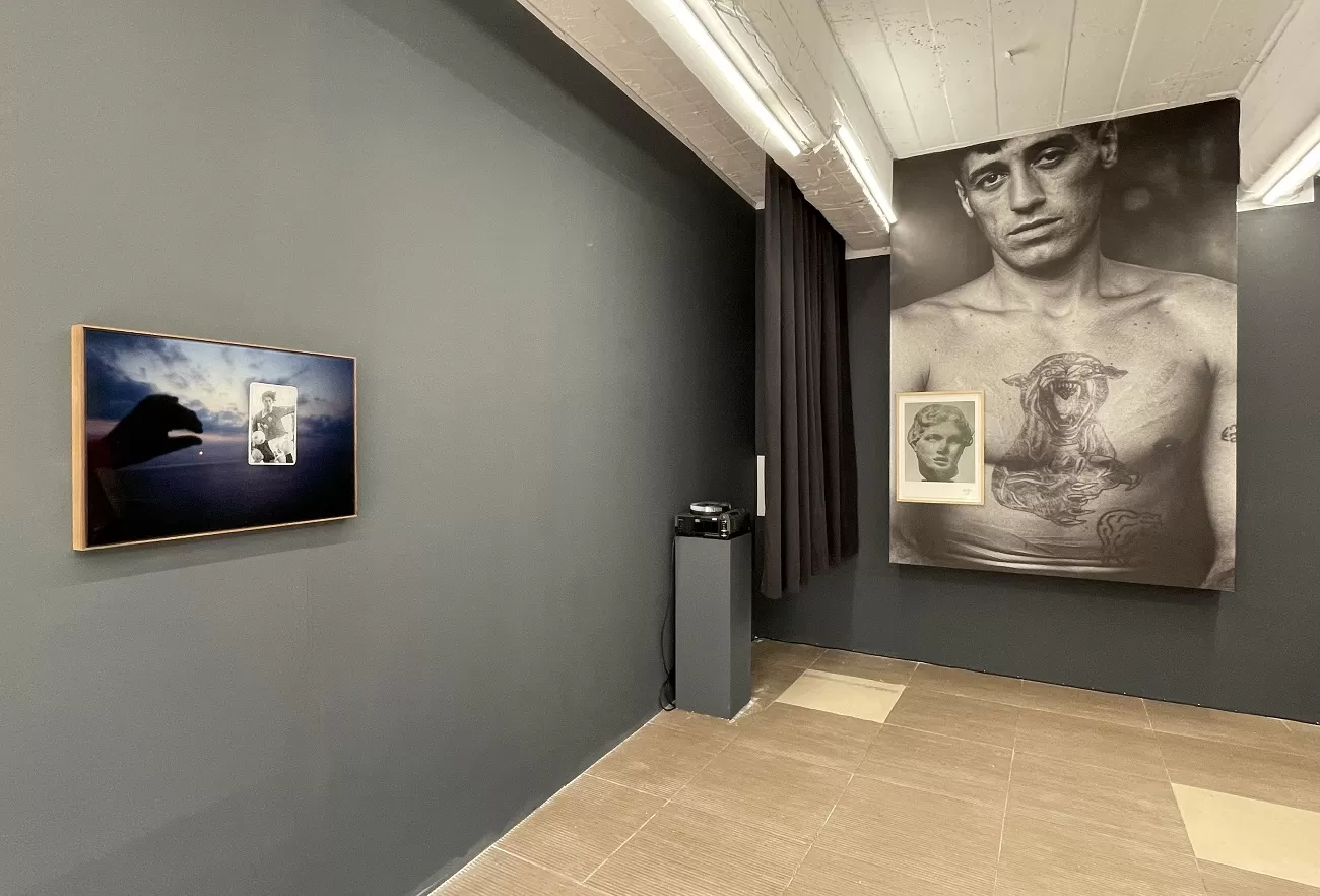 galeria posibila, rad art fair 2025, curatorial