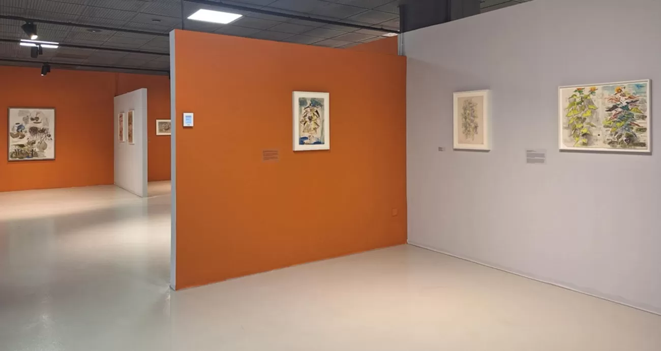 in mintea lumii, stefan bertalan, curatorial