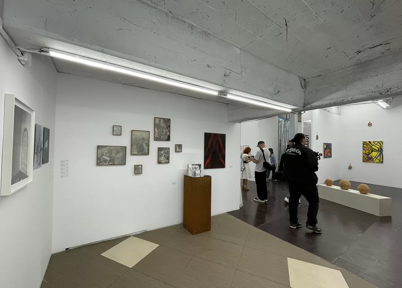 rad art fair 2025, curatorial