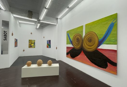 sabot, rad art fair 2025, curatorial