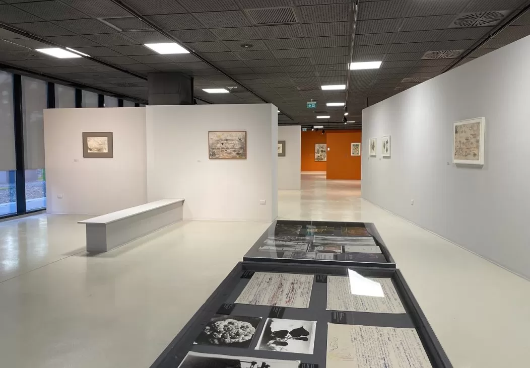 expozitie stefan bertalan, isho timisoara, curatorial