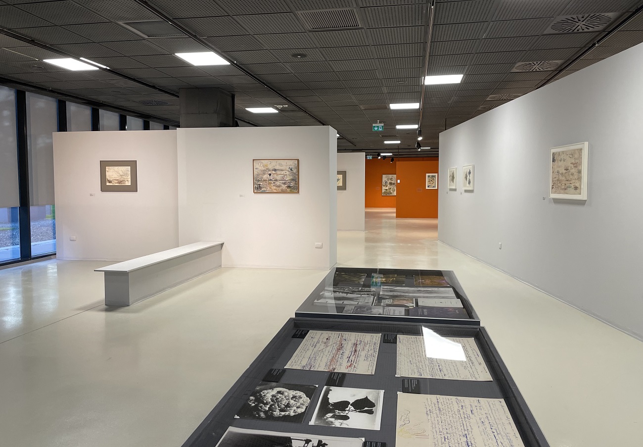 expozitie stefan bertalan, isho timisoara, curatorial