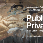 publicul privat