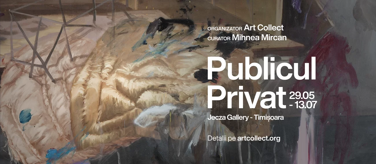 publicul privat