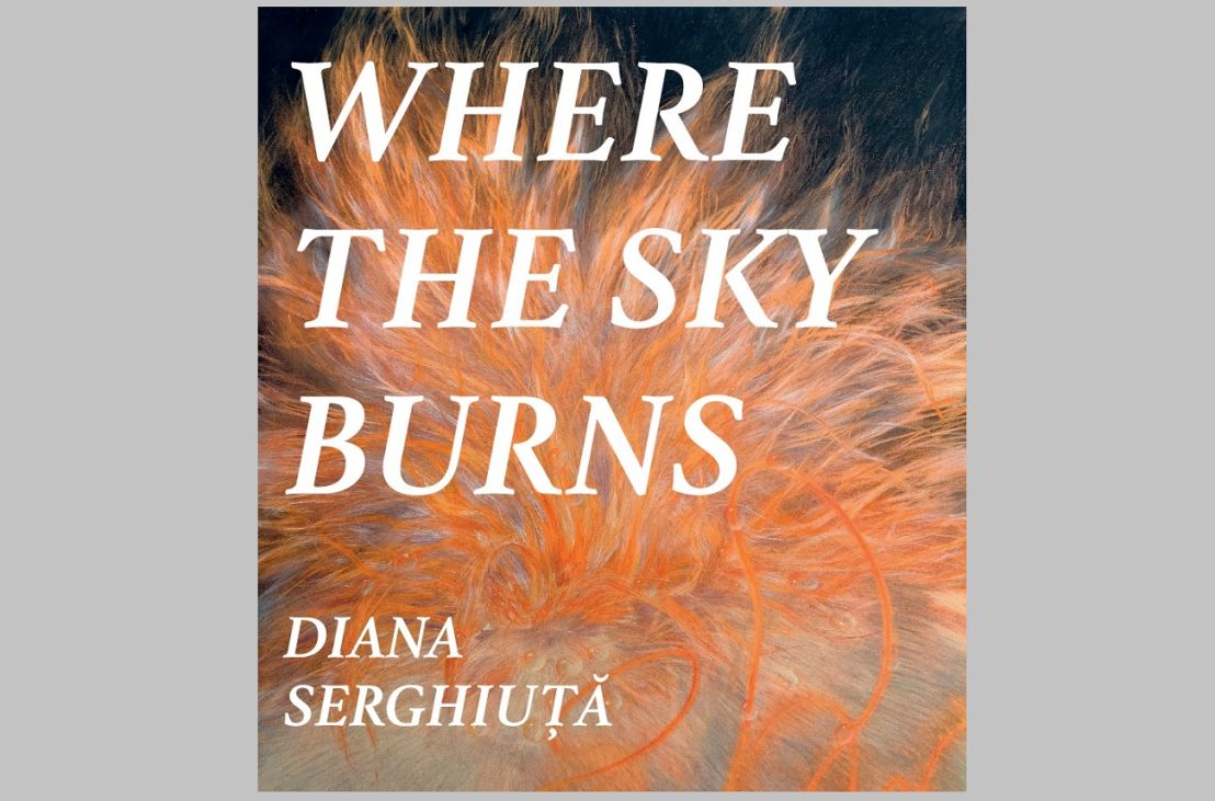afiș diana serghiuță where the sky burns