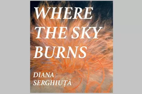 afiș diana serghiuță where the sky burns
