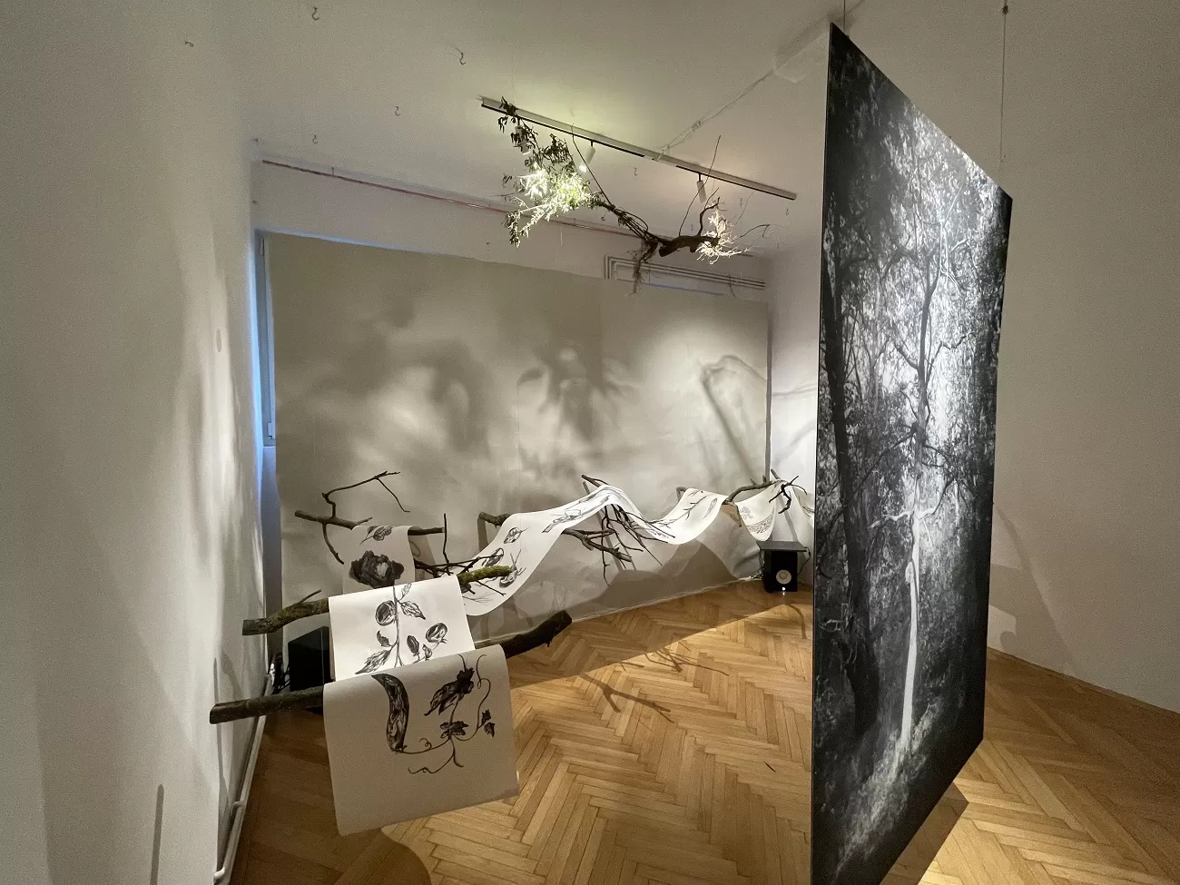 camera 36, non art space, curatorial 1