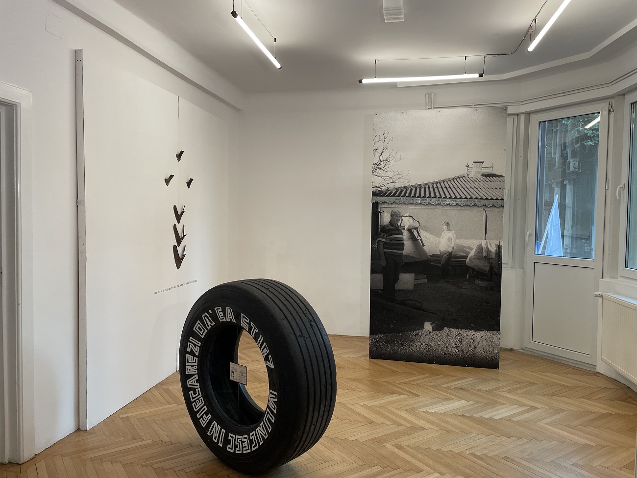 camera 36, non art space, curatorial