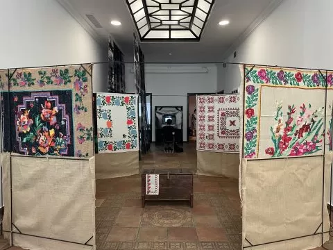 ctrl shift me, instalație alexia popescu, curatorial
