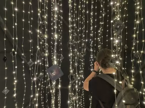 elena lazarenco, curatorial