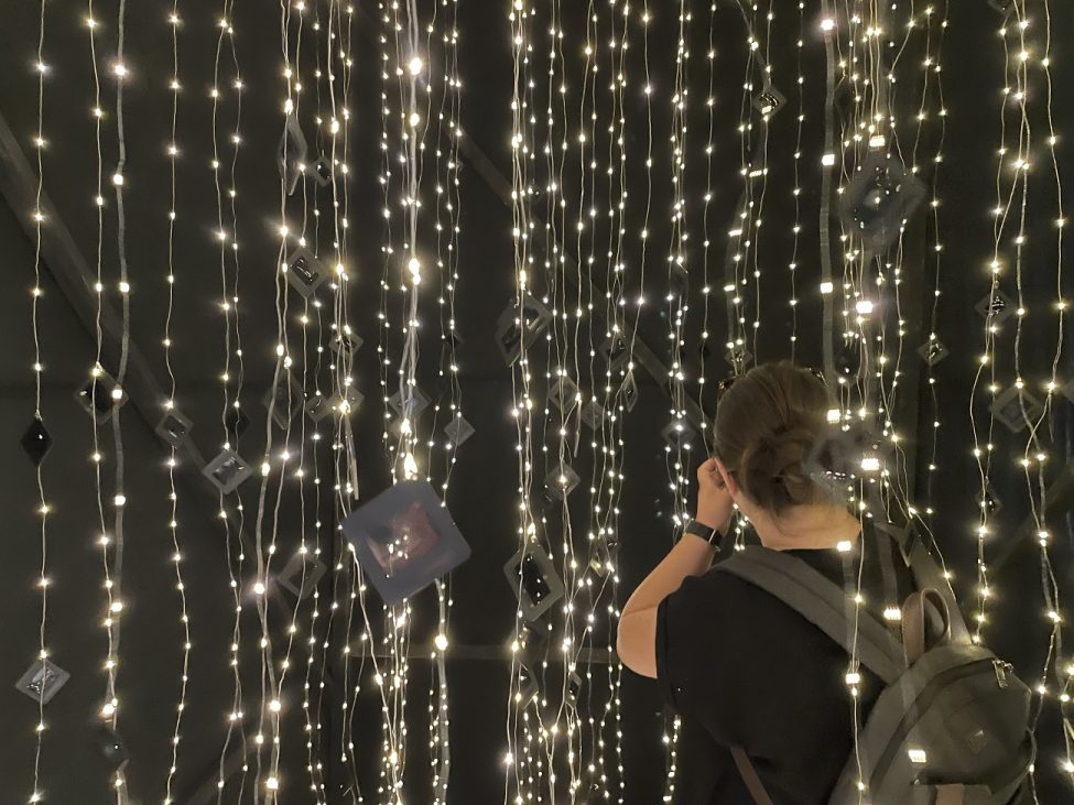 elena lazarenco, curatorial