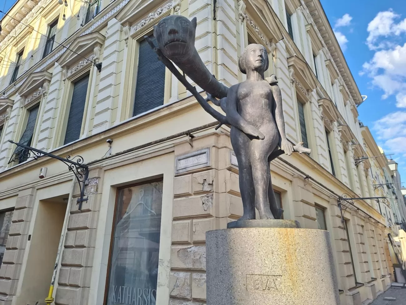 eva, virgil scripcariu, curatorial1