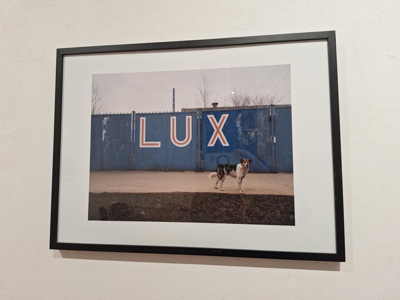 greatest clicks2, curatorial