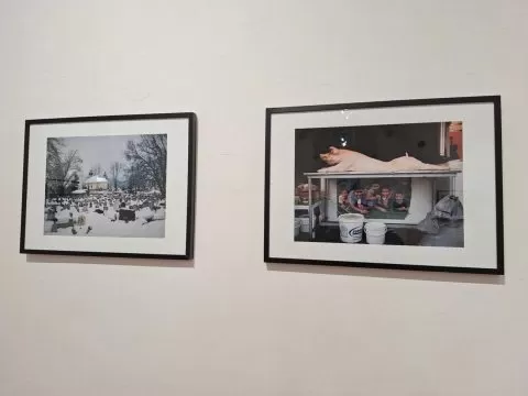 greatest clicks5, curatorial