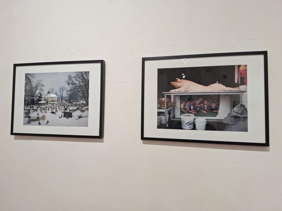 greatest clicks5, curatorial