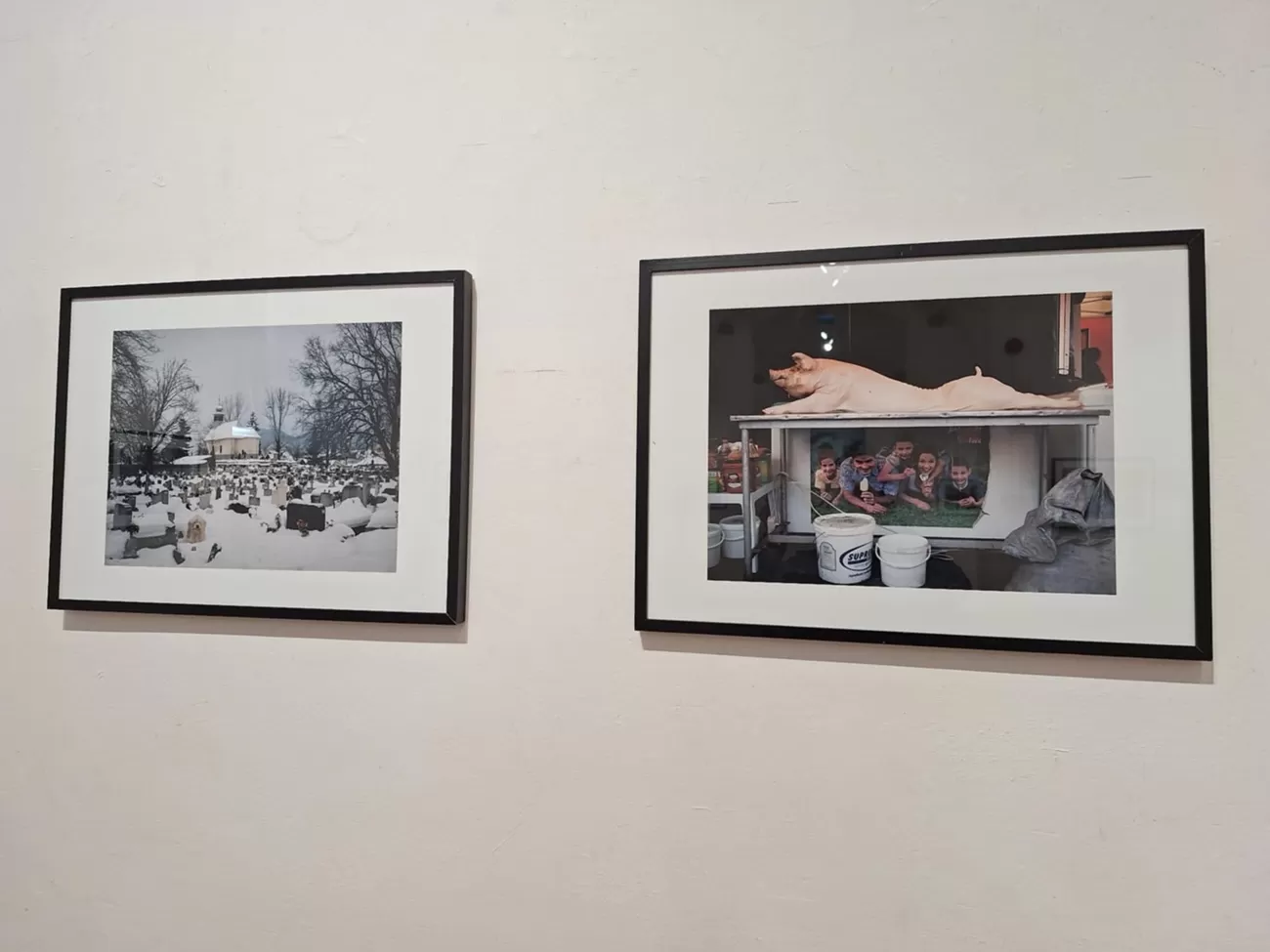 greatest clicks5, curatorial