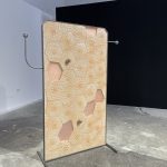 lorena cocioni apparatus, bienala art encounters 2025, curatorial