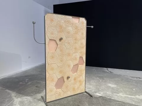 lorena cocioni apparatus, bienala art encounters 2025, curatorial